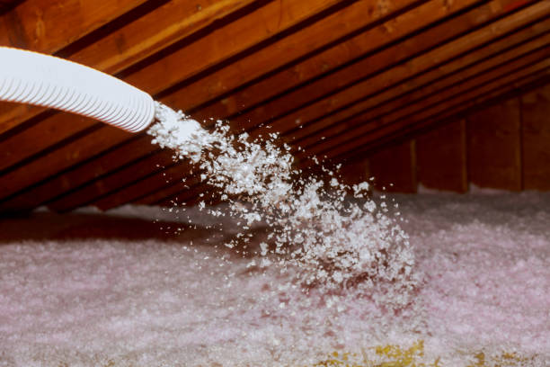 Best Cellulose Insulation in Fritz Creek, AK
