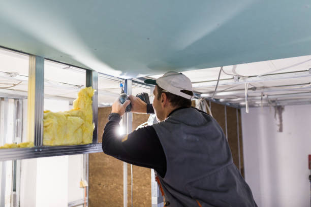 Best Residential Insulation in Fritz Creek, AK