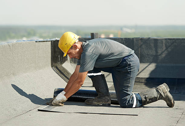Best Energy Efficiency Insulation in Fritz Creek, AK