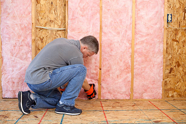 Best Commercial Insulation in Fritz Creek, AK