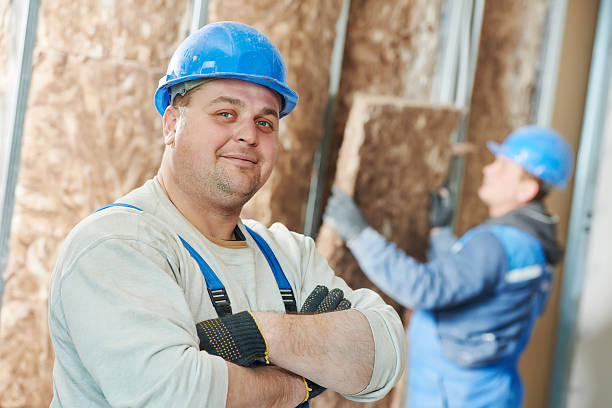 Best Geographic-Specific Insulation Services in Fritz Creek, AK