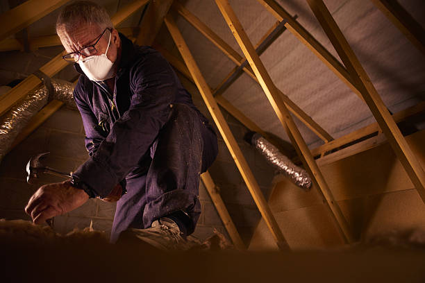 Best Blown-in Insulation in Fritz Creek, AK