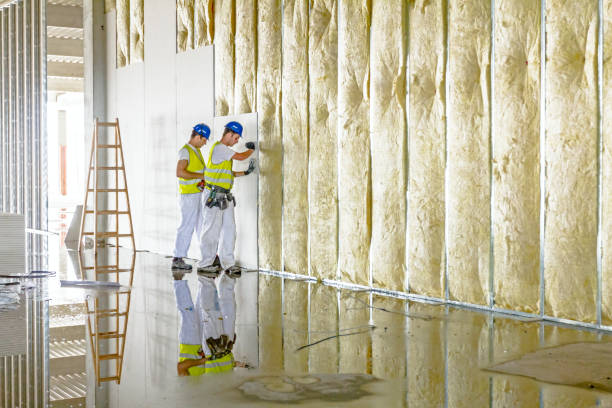 Best Insulation Maintenance and Repair in Fritz Creek, AK